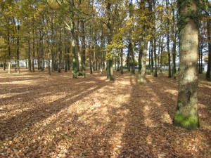 1-germe-et-jam-BDL-nantes-renouvellement-urbain-bout-des-landes-espace-public-EBC